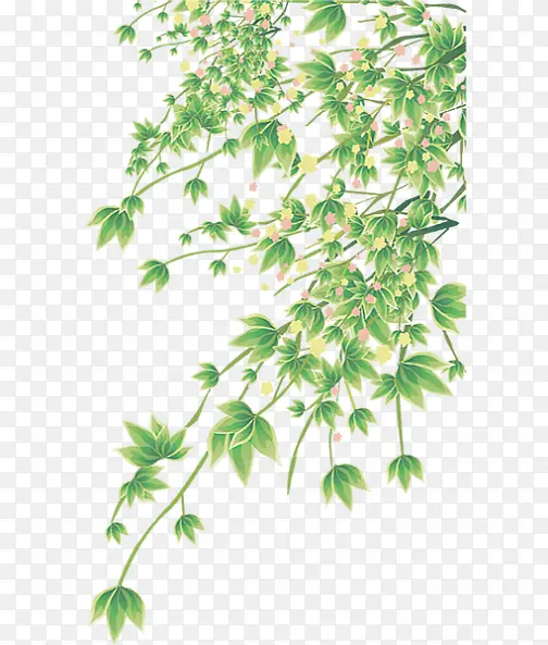 绿色清新春季花枝