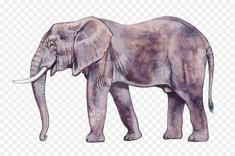矢量水彩手绘大象