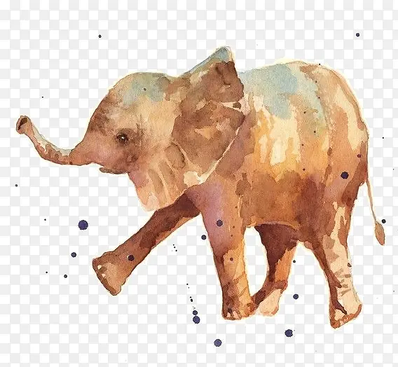 水彩大象