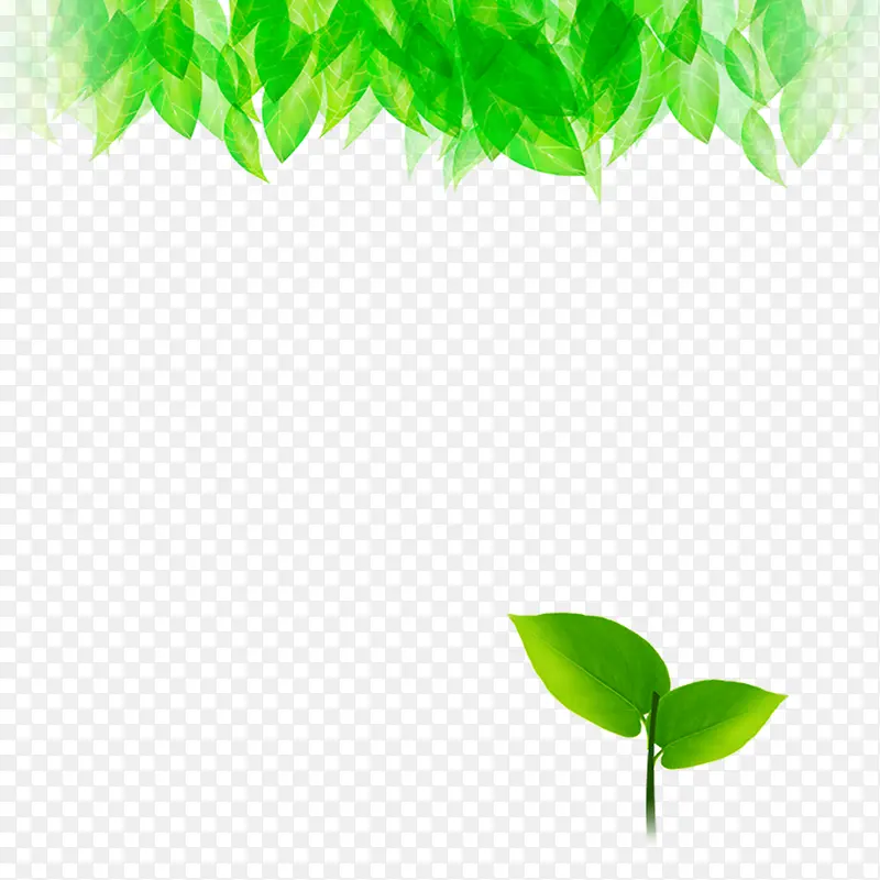 绿色现代植物装饰