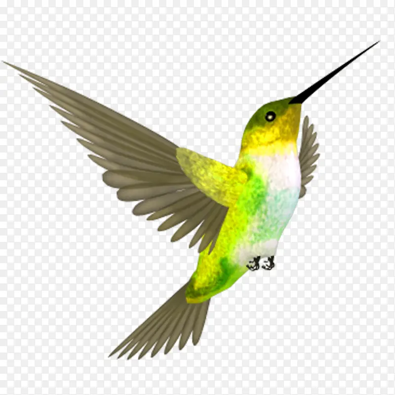 绿色展翅飞翔的小鸟
