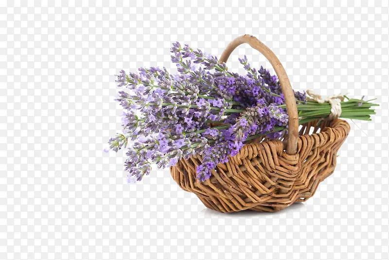 装在篮子里的紫色薰衣草