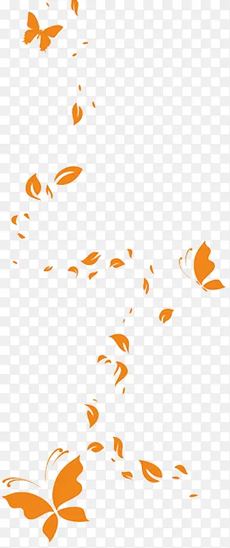 橙色蝴蝶变化漂浮