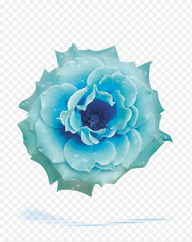 蓝色花卉化妆品海报背景