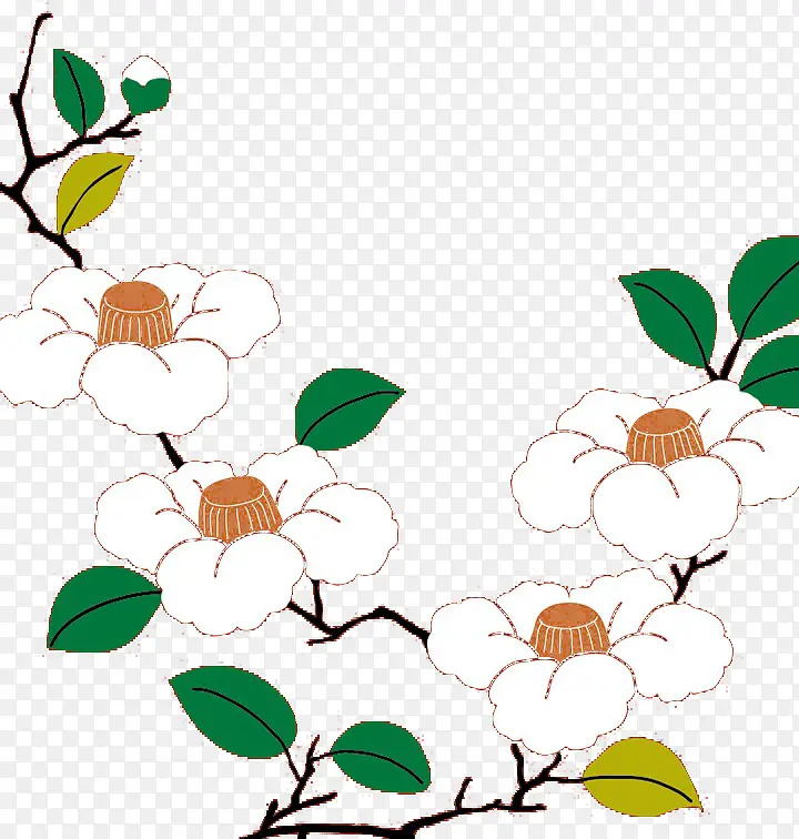 白色手绘茶花