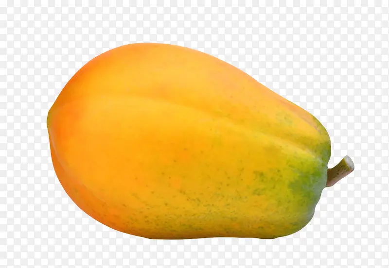 黄色完整成熟的熟木瓜实物