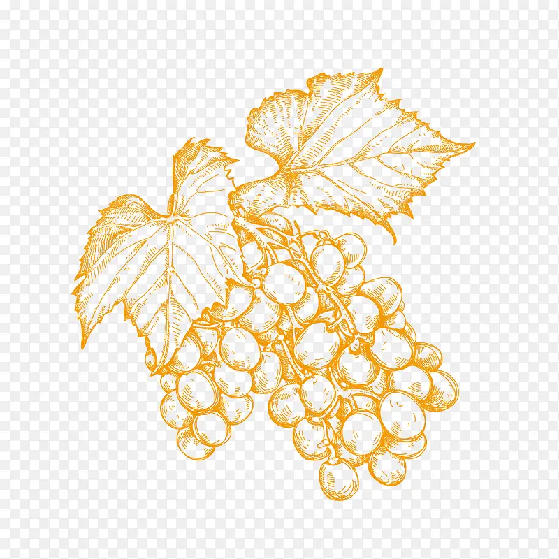 手绘黄色葡萄设计