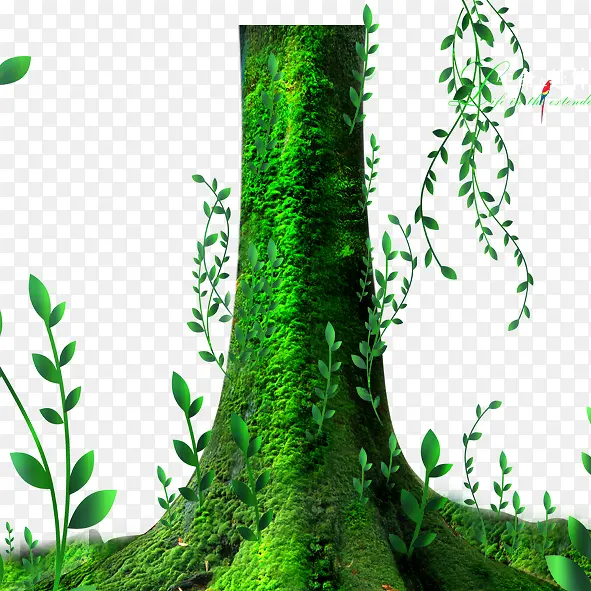 生命的延续绿色大树