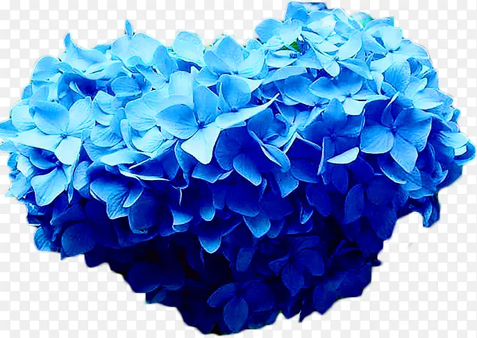 爱心蓝色花朵