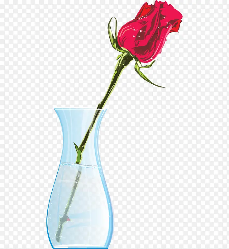 花瓶里的玫瑰