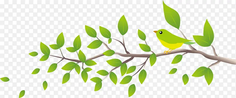 绿色春季美丽树枝小鸟