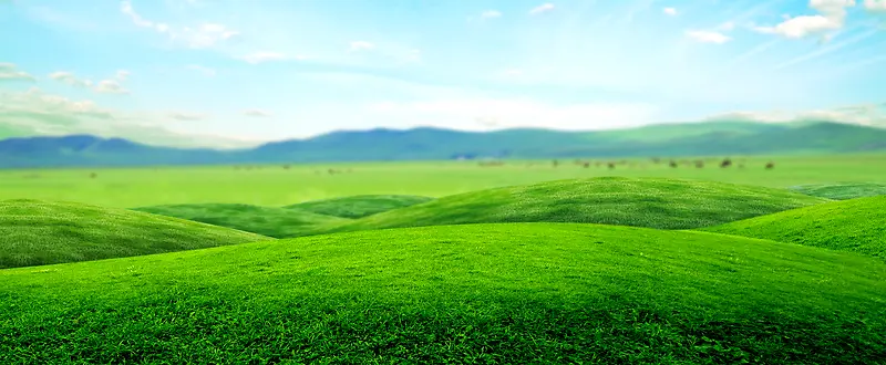 草原，草地，大自然，绿色