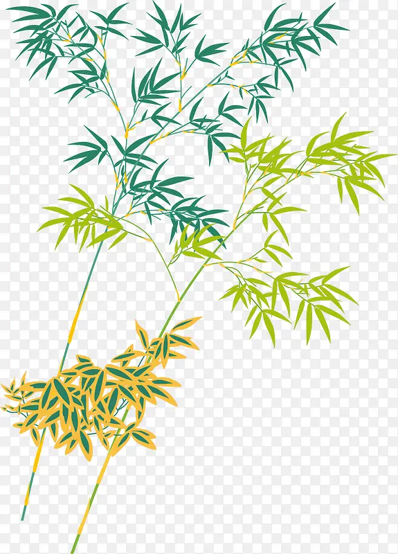 竹子 树叶 素色植物 装饰背景