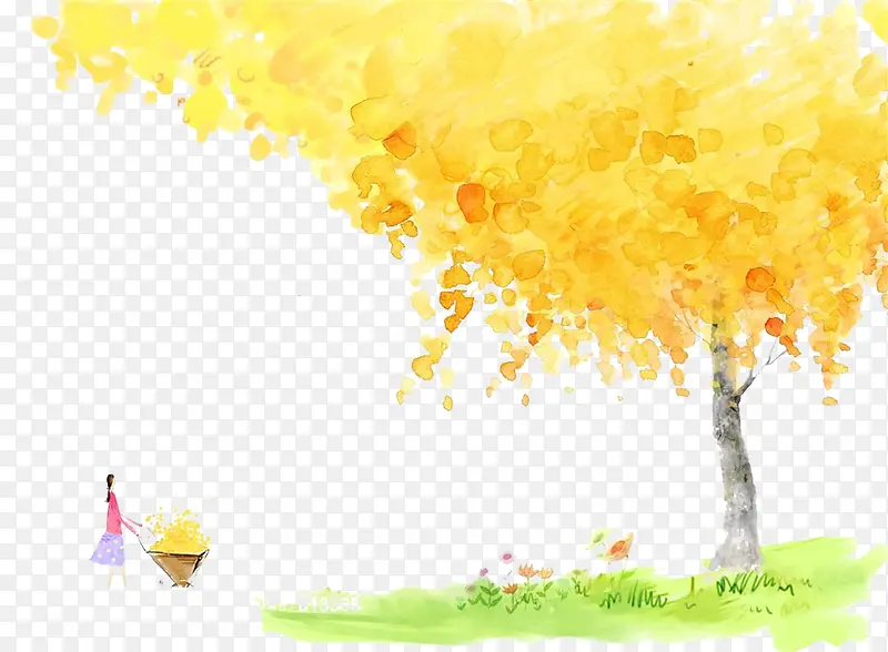 秋天的枫树图片素材