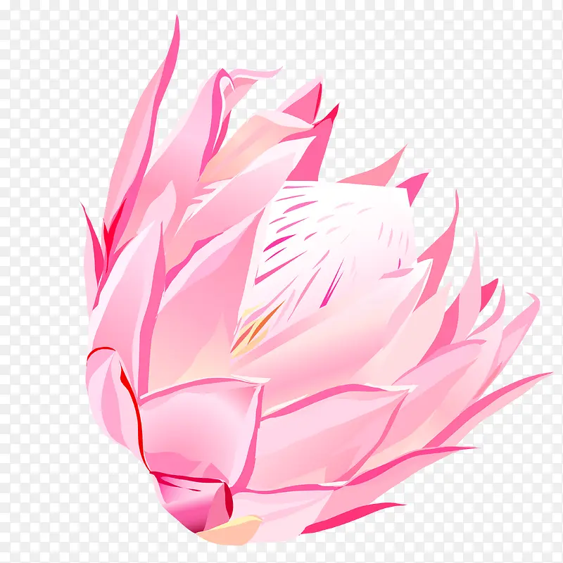 粉色莲花装饰素材图案