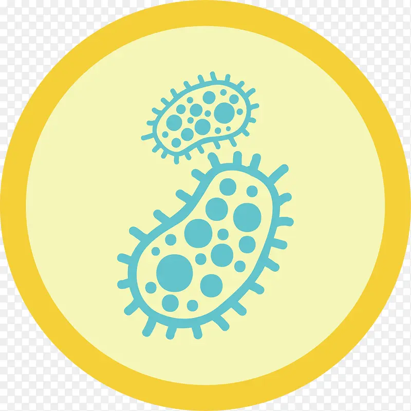 黄色细菌