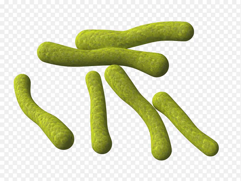 草绿色细菌立体插画