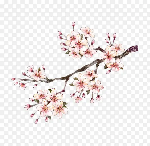 中国画手绘粉色桃花花瓣