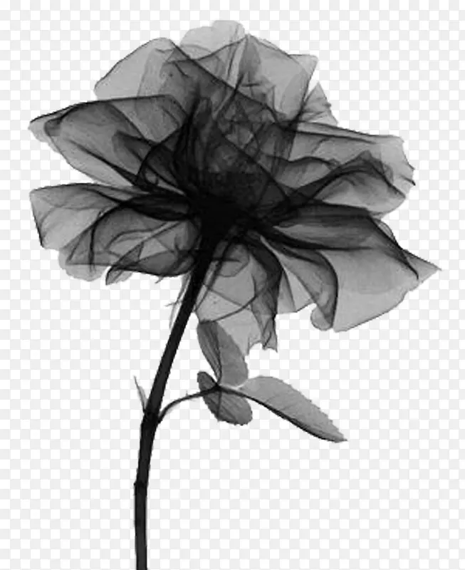 黑纱做的花