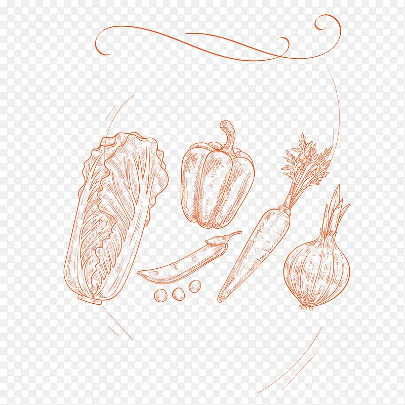 卡通红色白菜萝卜辣椒