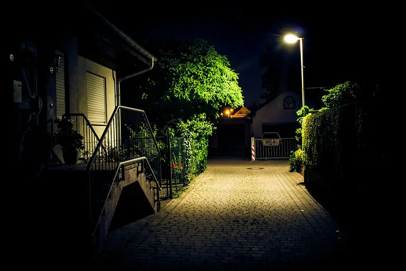 夜晚路灯绿色植物水泥马路