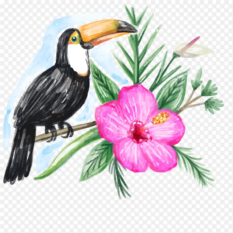 水彩绘大嘴鸟和花卉矢量
