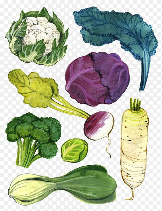 五彩蔬菜背景