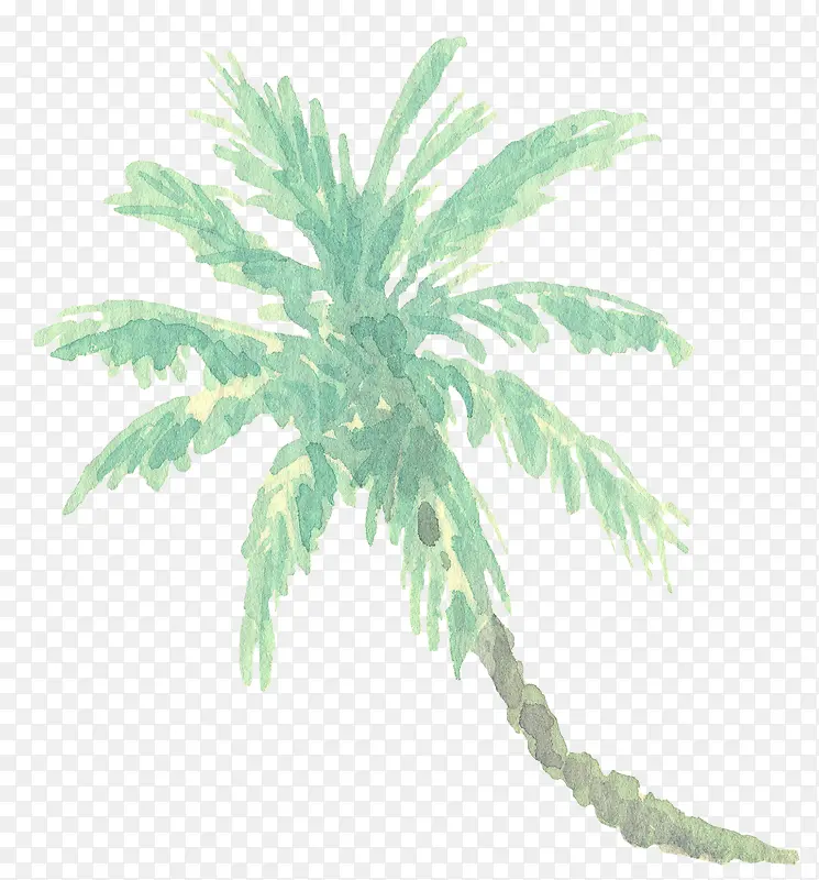 泼墨椰子树