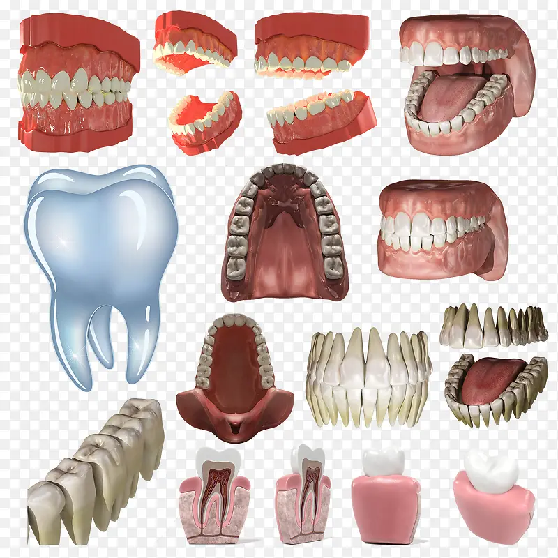 牙齿3d假牙模型