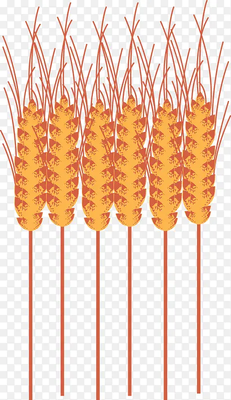 农作物小麦矢量图