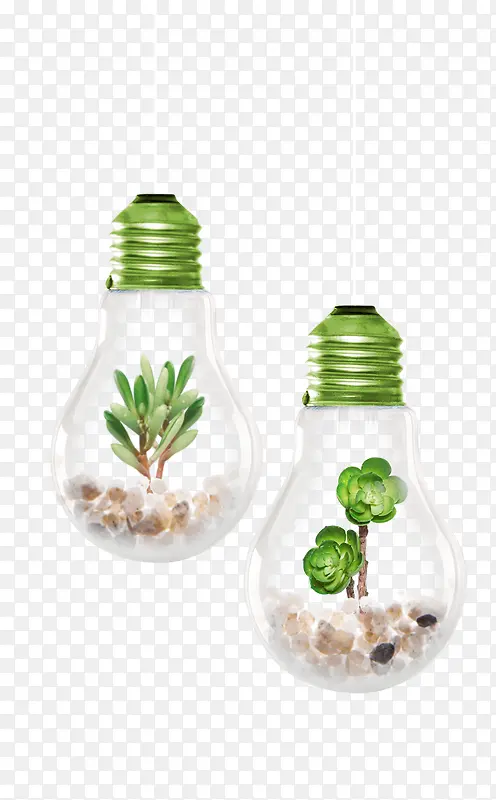 灯泡里的绿色植物