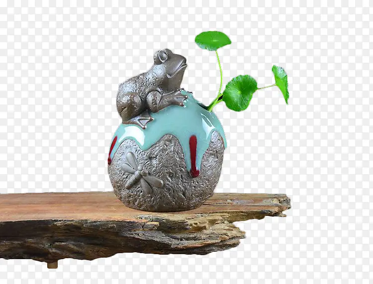 金钱草青蛙盆景