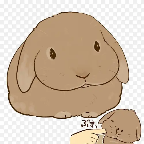 棕色胖兔子