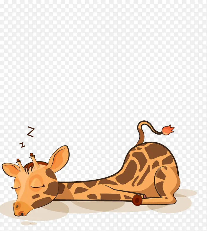 睡觉的长颈鹿