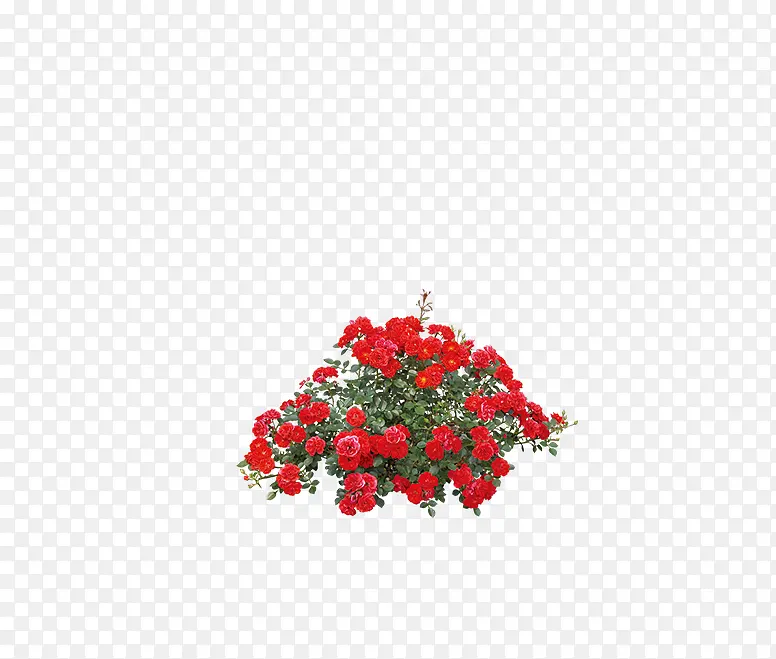一簇花朵PNG图片素材下载_图片编号7946912-PNG素材网