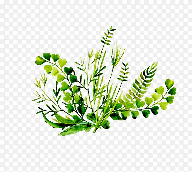 手绘绿色植物PNG图片素材下载_图片编号7947276-PNG素材网