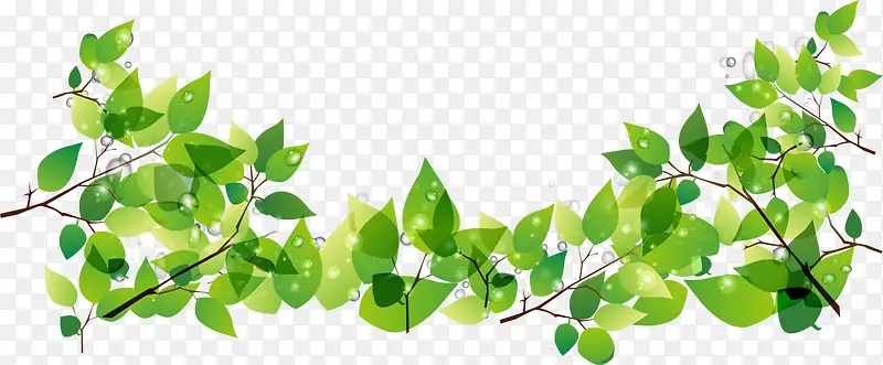 绿色春季树叶植物PNG图片素材下载_图片编号7947267-PNG素材网