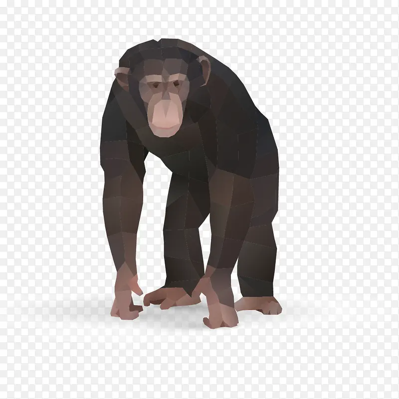 黑色猿猴