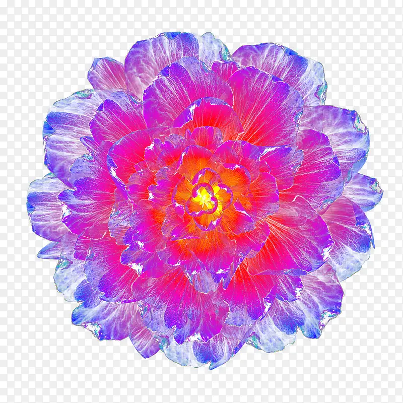 梦幻炫酷紫色花朵顶视图
