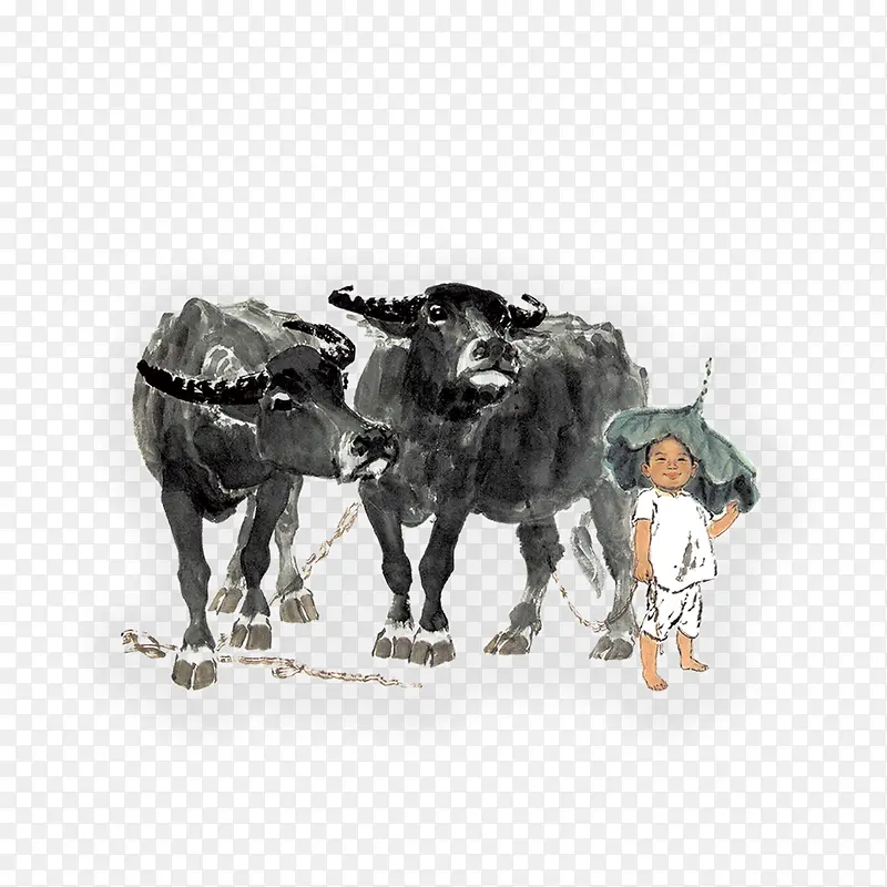 儿童和牛
