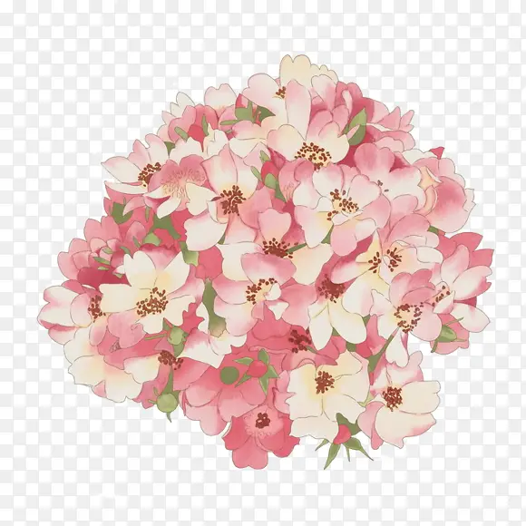 粉色花团图片