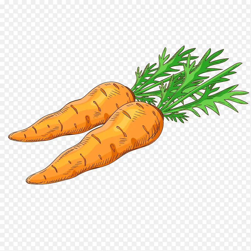 橙色创意胡萝卜食物元素