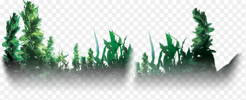 绿色植物草木图片