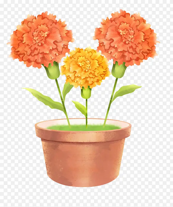 母亲节手绘插图花盆与植物花卉