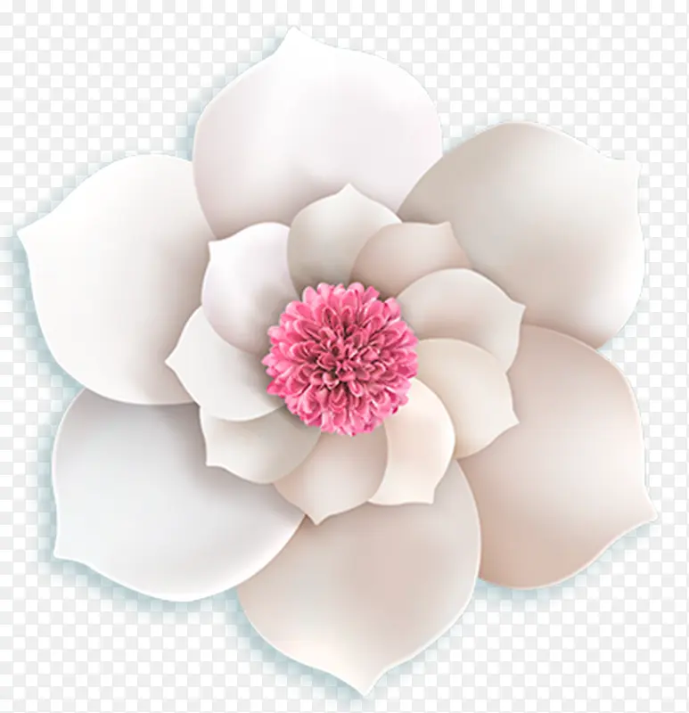 装饰微立体白色花朵素材