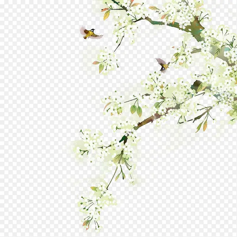花树和小鸟