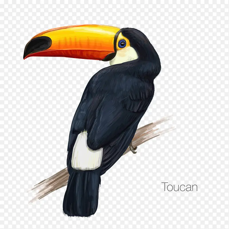 矢量Toucan