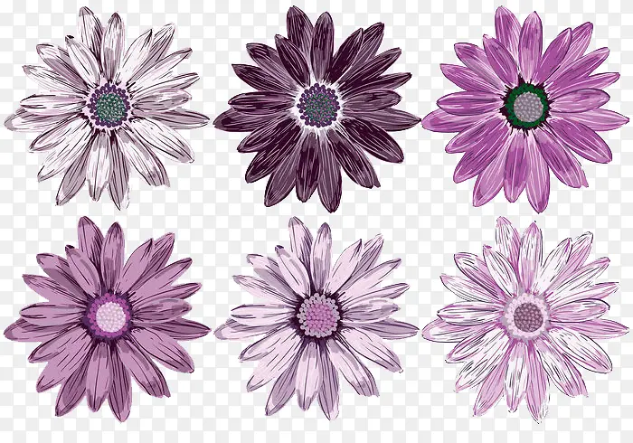 紫色的花瓣