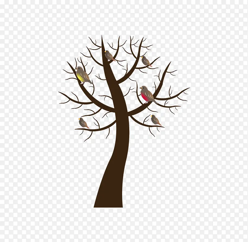 枯树和枝干上的小鸟
