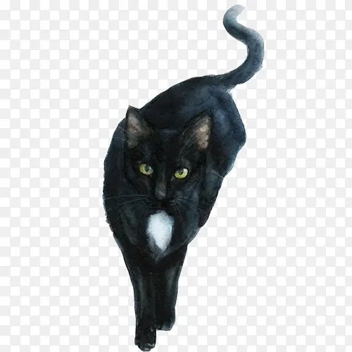 水墨画黑夜里的黑猫